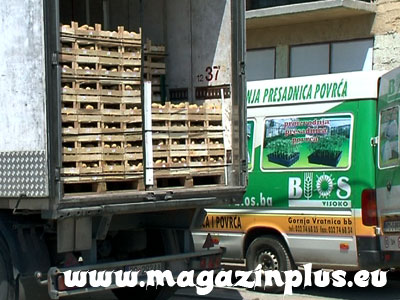 BiosIyvoyF_magazinplus