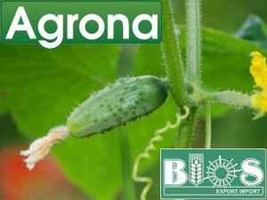 bios-agrona